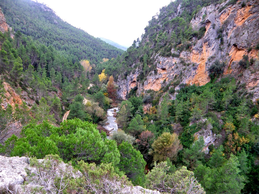 El Río Blanco,com se diu a Los Serranos el Túria (València)