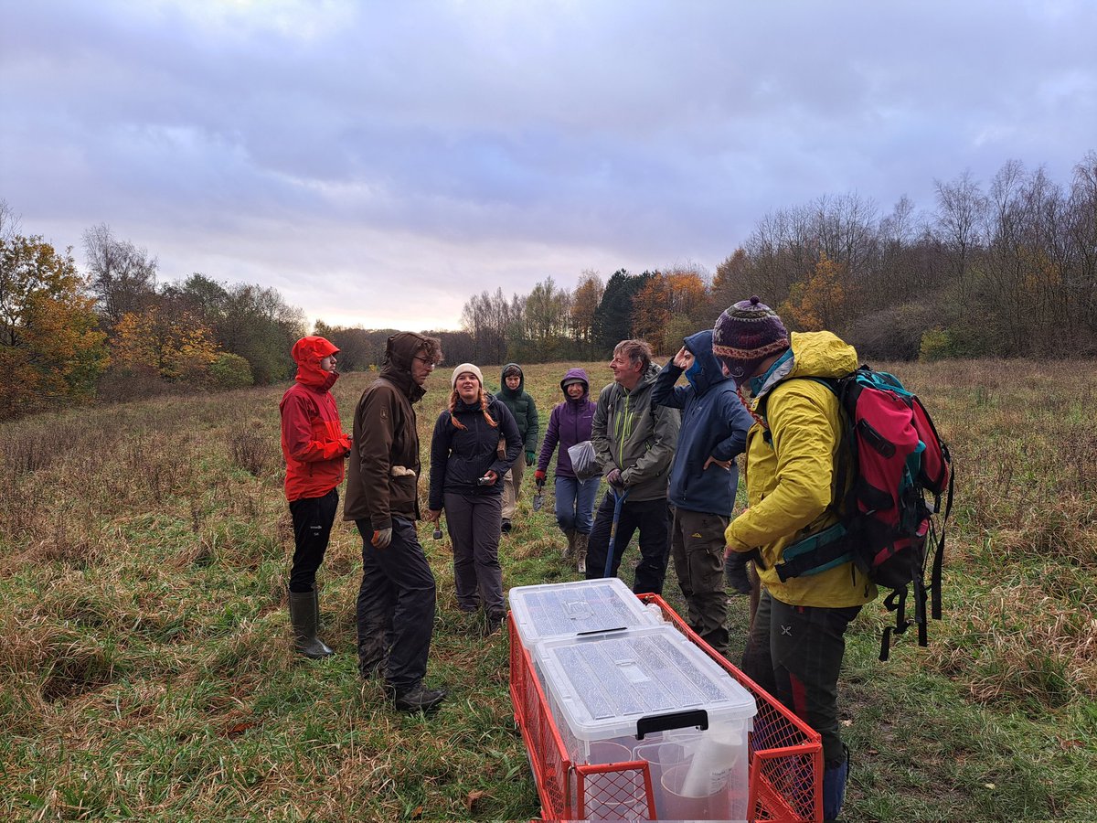 Kaydee Barker (she/ella) (@nerd_inthe_wild) on Twitter photo Great team out in the field digging up some #plants & #soil to study the effects of meadow #restoration on soil #carbon!
~with <a href="/DJSoilEcol/">Prof David Johnson</a> @JPRitson <a href="/Dael_Sassoon/">Dael Sassoon</a> <a href="/SoilEcolUoM/">Soil Ecology Lab UoM</a>
#SoilHealth #soilscience #ecology #WomenInSTEM <a href="/WomenInSoilEco/">Women In Soil Ecology</a> Great team out in the field digging up some #plants & #soil to study the effects of meadow #restoration on soil #carbon!
~with <a href="/DJSoilEcol/">Prof David Johnson</a> @JPRitson <a href="/Dael_Sassoon/">Dael Sassoon</a> <a href="/SoilEcolUoM/">Soil Ecology Lab UoM</a>
#SoilHealth #soilscience #ecology #WomenInSTEM <a href="/WomenInSoilEco/">Women In Soil Ecology</a>