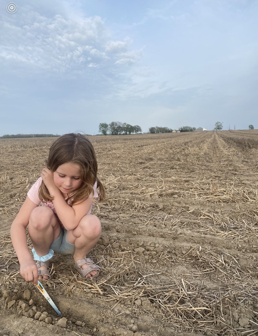 Alderdice_J's tweet photo. @JoannaMWallace @syngentacanada I wonder if a corn cob scrunchy would help this girl plant corn next spring.. .  Maybe more effective than the one on her ankle? 🤣 https://t.co/cRP9r3CKVo