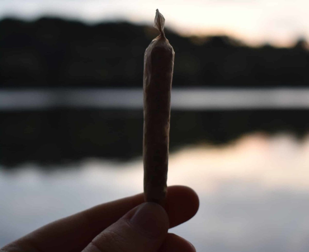slicedsol's tweet photo. The wealth.
The love.
The health.
The blessings.
It’s already ours.
#goodnight #keepgoing #believeit #keep1rolled https://t.co/RGDVwtEy05