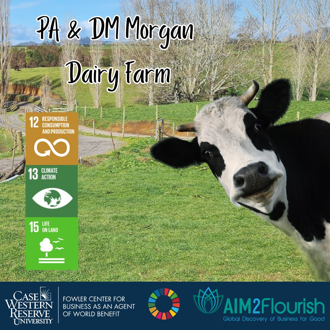 A vision of sustainability blooms at the PA & DM Dairy Farm in Waikato, NZ. Their 1.2-hectare native planting balances production with environmental protection, fusing #agriculture with global #sustainability goals. An inspiring shift! 🌱🌎 aim2flourish.com/innovations/su…