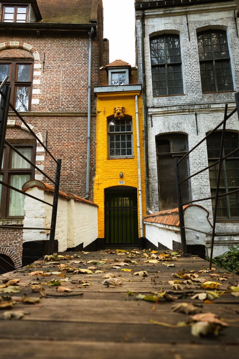 Nathan_Poncet's tweet photo. 📸. La petite maison de Lille 

#photograghy #lille #vieuxlille #November https://t.co/ev4r7AiKFR