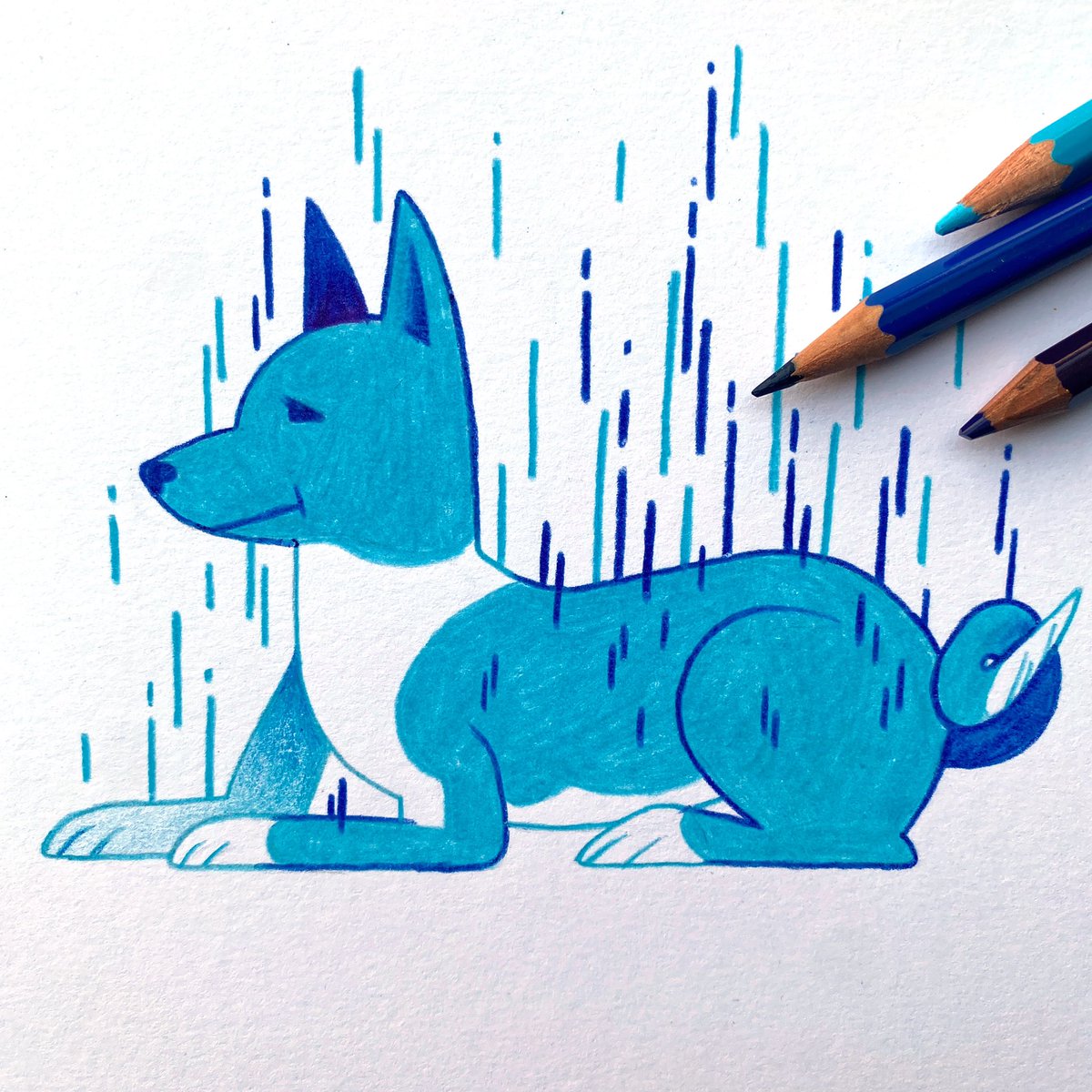 KaseyTheGolden's tweet photo. Have some doggy doodles!! https://t.co/tylEXu0BzS