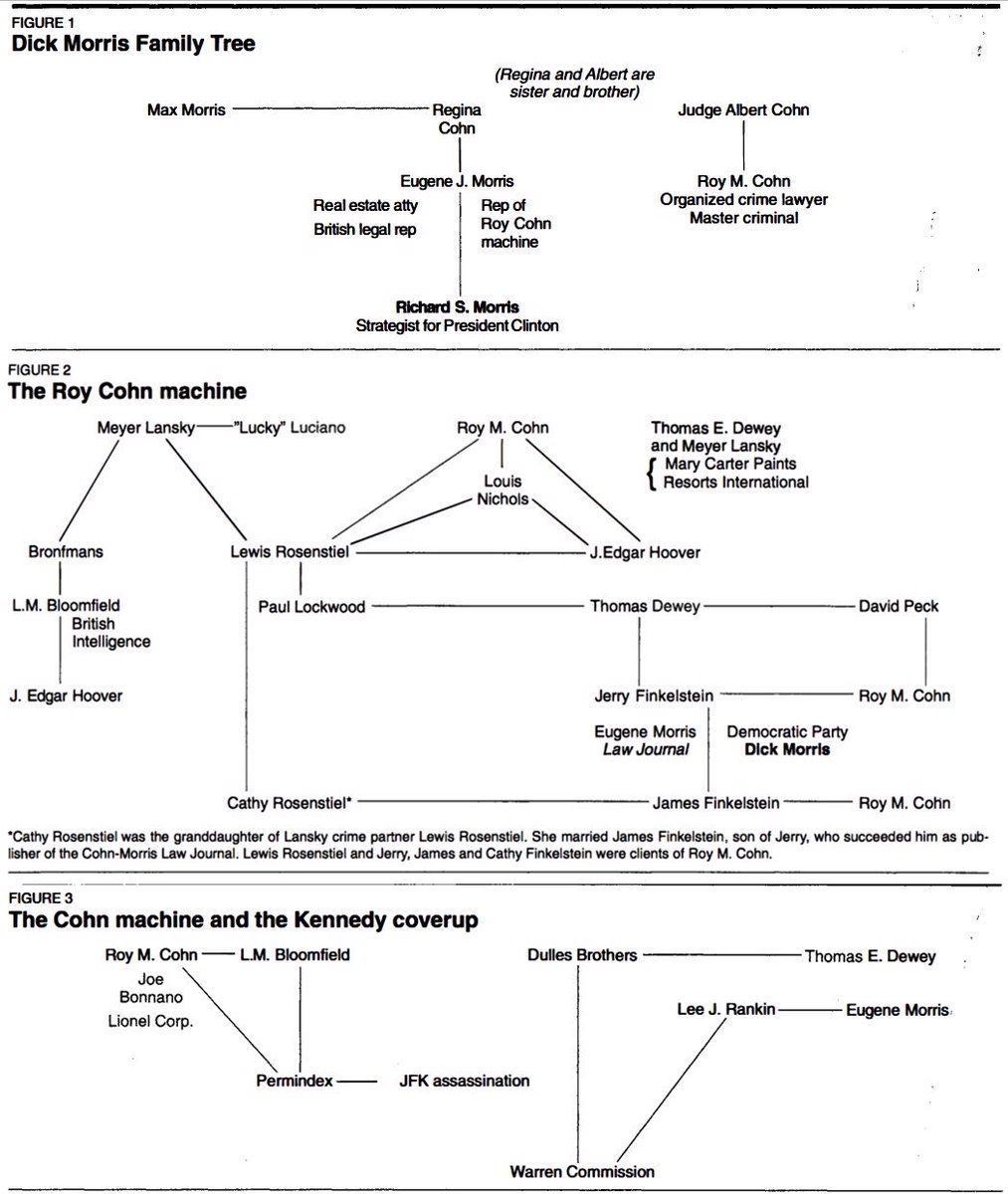 Roy cohn machine mob Rosenstiel lansky 
cia permindex 

Dick Morris