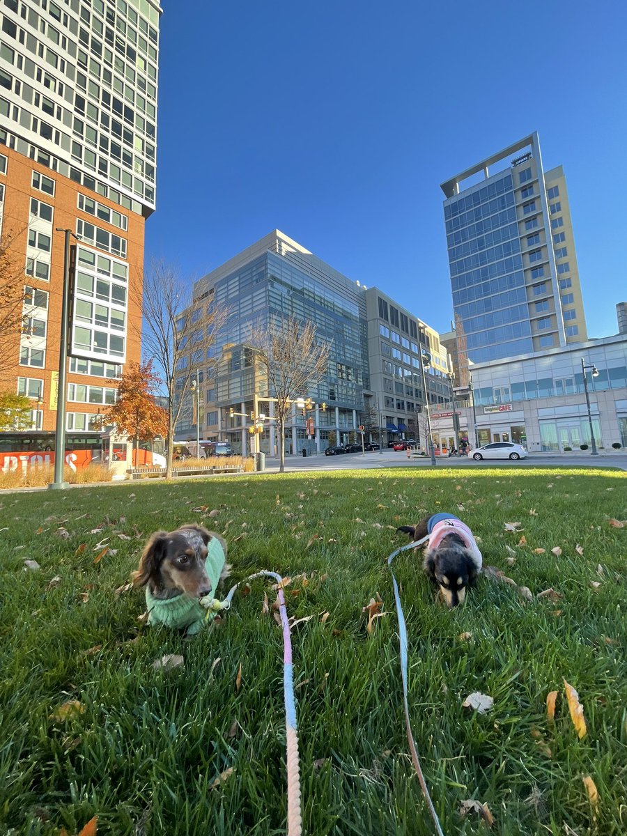 taylorev_'s tweet image. We visited some colleagues at @JHTechVentures today!