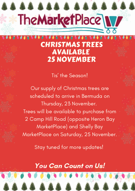 MarketPlaceLtd's tweet photo. Christmas trees will be available from 25 November https://t.co/dUO7B93Ur3