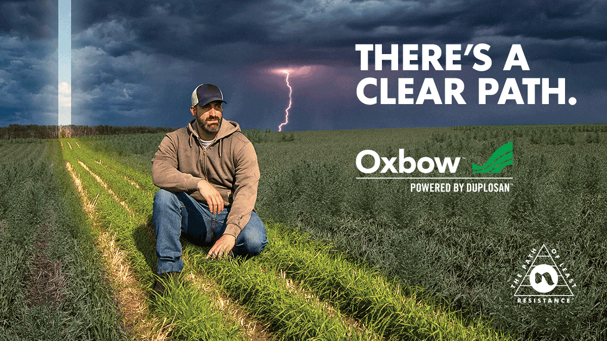 NufarmCA's tweet photo. Introducing #Oxbow, a brand new in-crop cereal broadleaf herbicide from Nufarm. Powered by Duplosan technology, Oxbow is your workhorse on herbicide-resistant broadleaf weeds like kochia. Join us on the Path of Least Resistance. Learn more here https://t.co/jgMGcK2QoH #WestCdnAg https://t.co/sMaoszKaVr