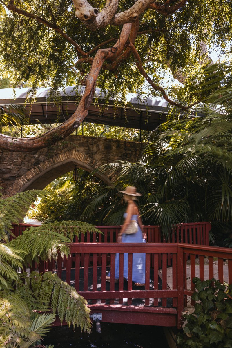 A garden oasis 🌿 #DCmoments