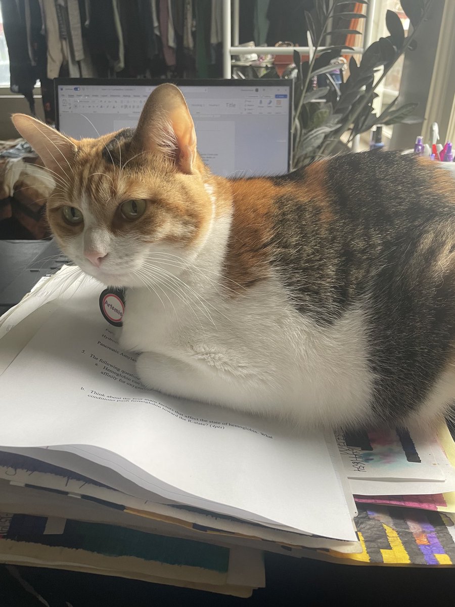 Shannon Kuznar, PhD (she/her) tweet media