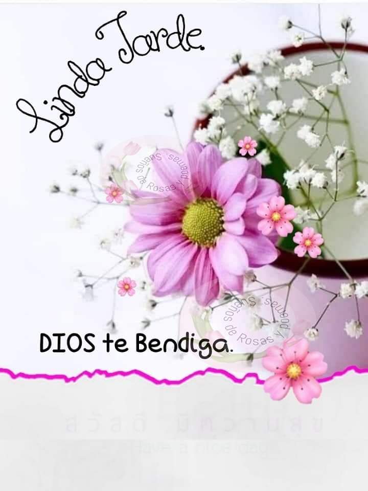 🌺💐🌺 Buenas tardes 🌺💐🌺