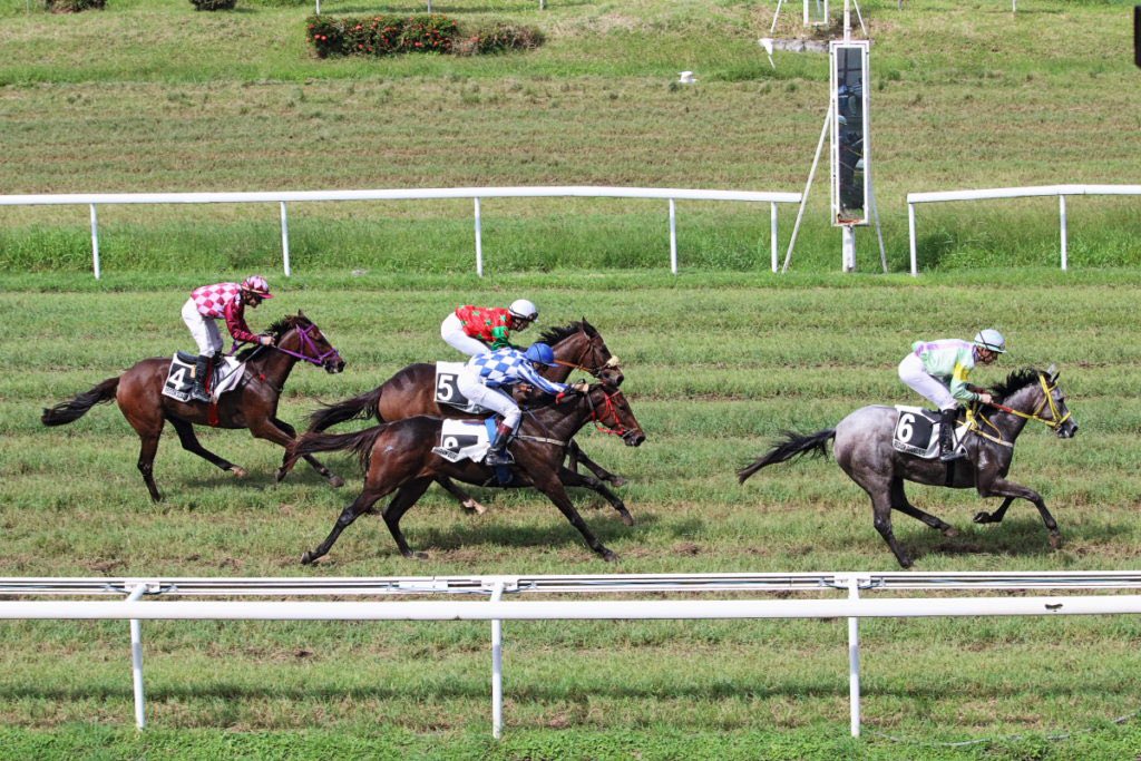 lefebvrefabien1's tweet photo. 🌟 Sunday🌟 at Hippodrome de Carrère 🇫🇷 (Martinique 🏝️)

- 🥇 #Dramakuta🐎 - 🏆 Grand Prix 2 ans 
- 🥈 #Shipmate🐎
- 🥉 #MissMax🐎
- 🥉 #KakaudouRisk🐎 https://t.co/BlpggjxYUt