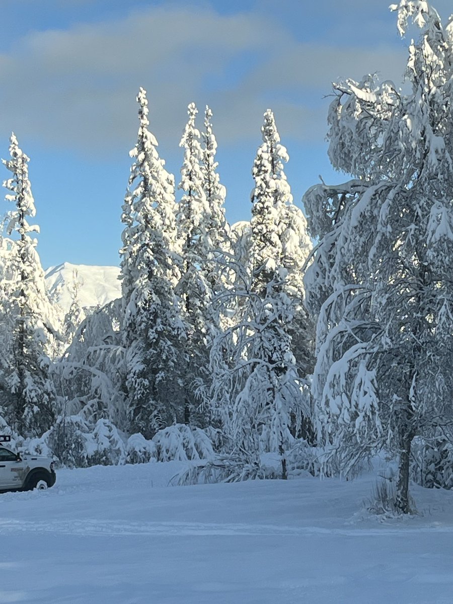 Clouds are burning off, blue skies abound and the Talkeetna mountains are peeking through the trees. #ViewFromMyWindow