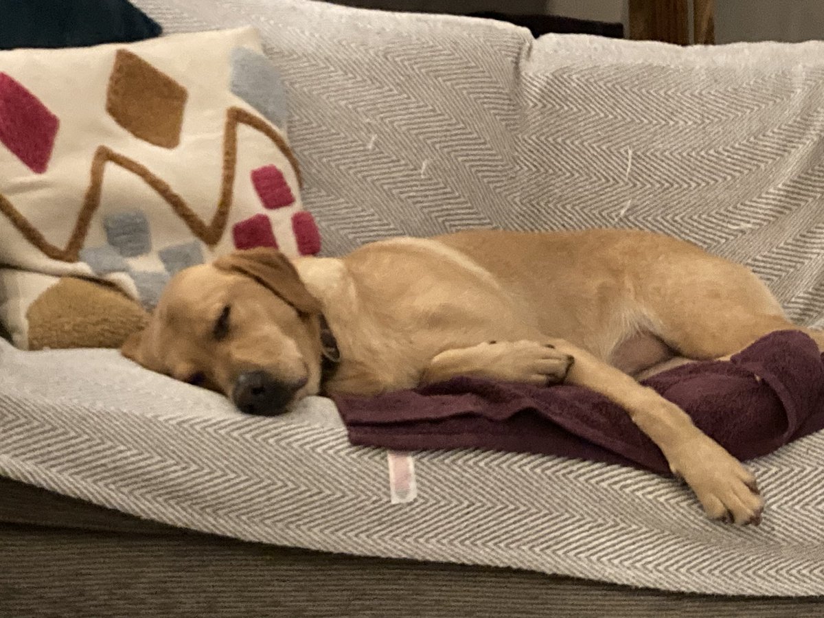 It’s a hard life..!