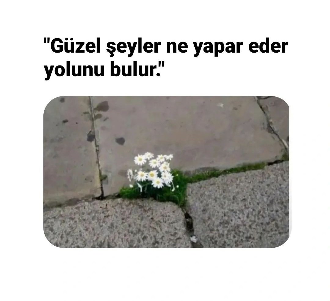 Alper 🇹🇷 (@35libiri) on Twitter photo 