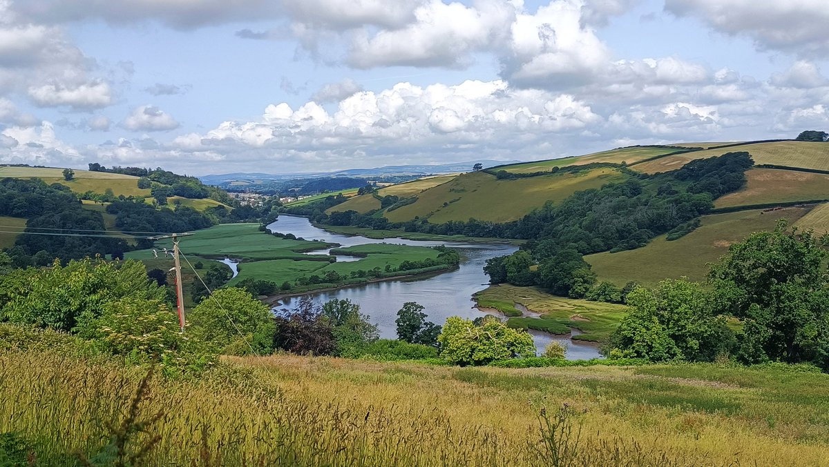 Memories of #Totnes last summer