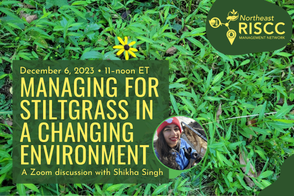 Northeast RISCC Network tweet media