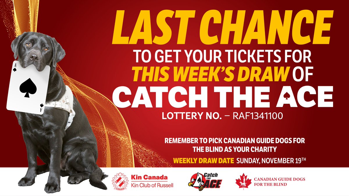 Canadian Guide Dogs for the Blind tweet media