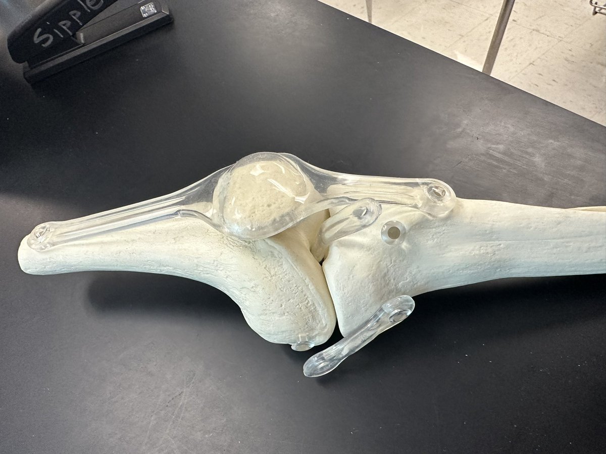 DGN_Remegi tweet media