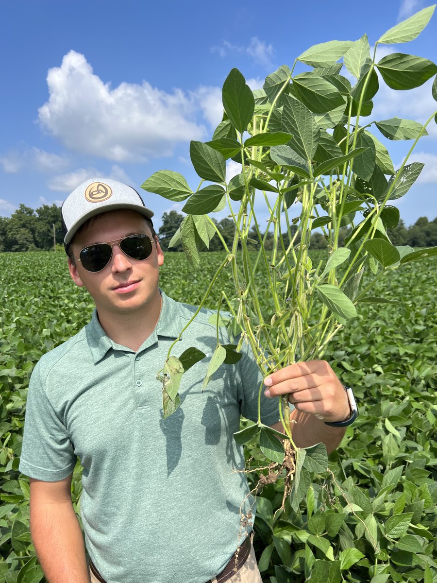 ConceptAgriTek's tweet photo. Bushey Approved!
Chad Bieda of Lonestar Farms shows off his impressive bean crop to our northern agronomy team and tells us, "These beans were given a thumbs up by CA agronomist Jake Bushey!" ...and why wouldn't they be! 
Congratulations on a great crop, Chad, glad we could help! https://t.co/PnHtGdUPJt