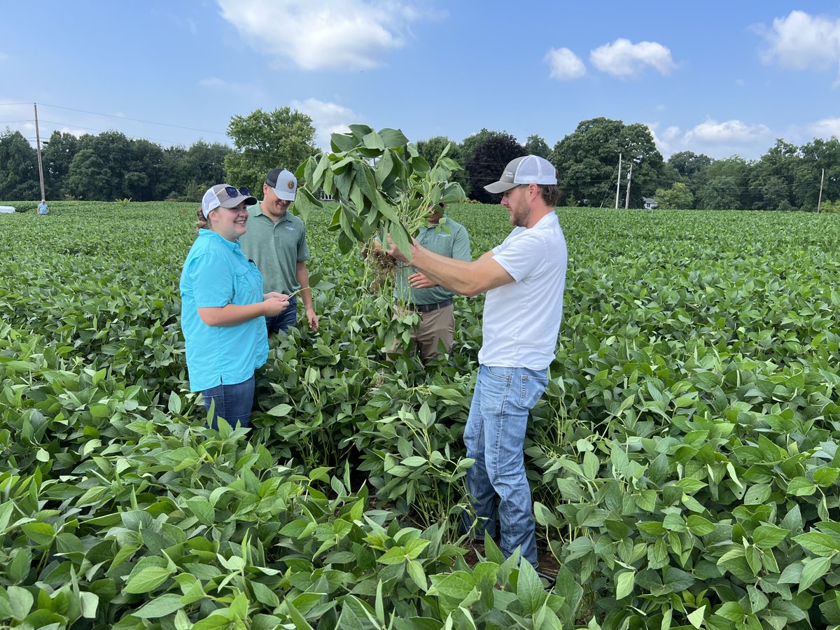 ConceptAgriTek's tweet photo. Bushey Approved!
Chad Bieda of Lonestar Farms shows off his impressive bean crop to our northern agronomy team and tells us, "These beans were given a thumbs up by CA agronomist Jake Bushey!" ...and why wouldn't they be! 
Congratulations on a great crop, Chad, glad we could help! https://t.co/PnHtGdUPJt