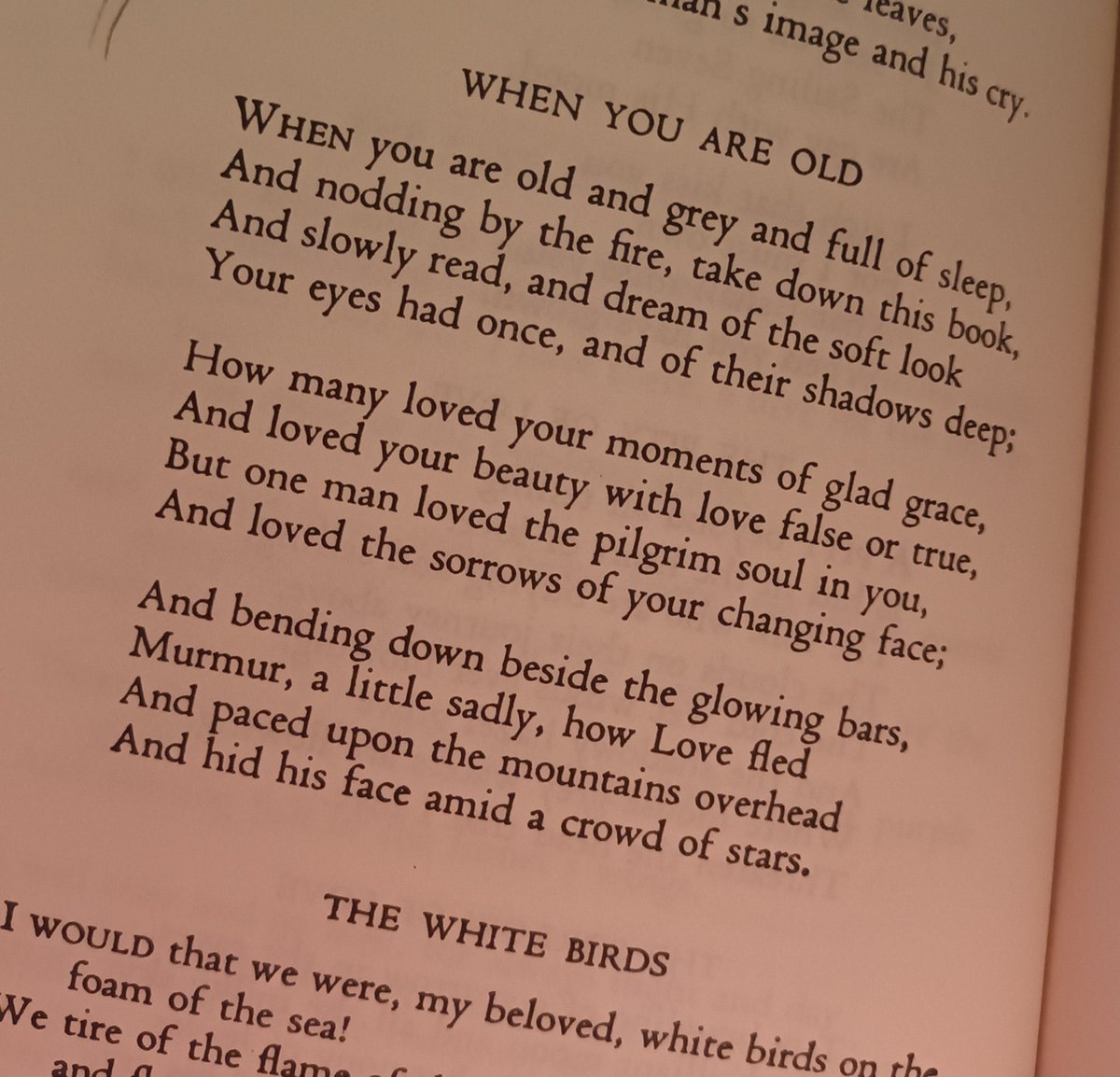 david cottrell (@theliverpolitan) on Twitter photo 