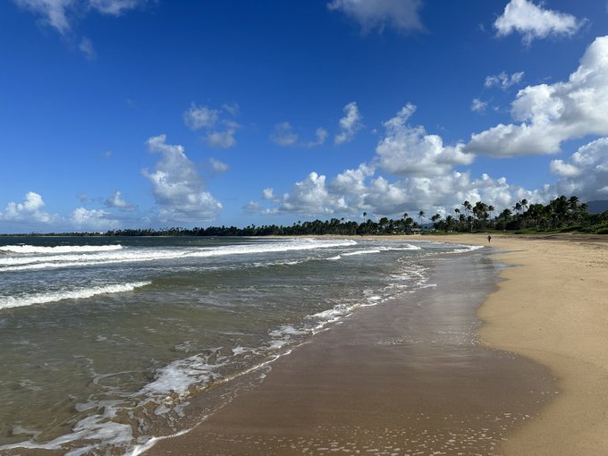 He flew me to paradise! Such a lovely few days soaking up the sun. Thank you to the gent who put together