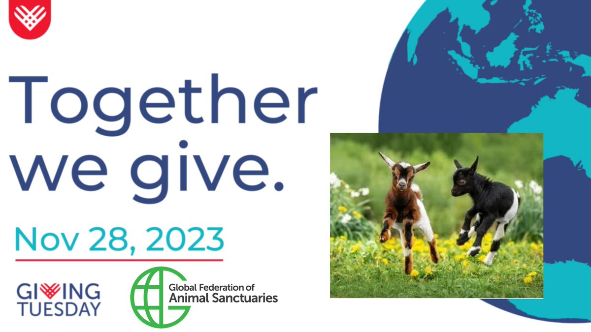 #GivingTuesday is almost here! Help us reach our $5,000 goal to support our work with sanctuaries and rescue centers worldwide!

Join us on Nov. 28 - or you can give NOW at:
bit.ly/3FZDqSD!

#truesanctuary #horserescue #wildliferescue #animalsanctuary #farmsanctuary