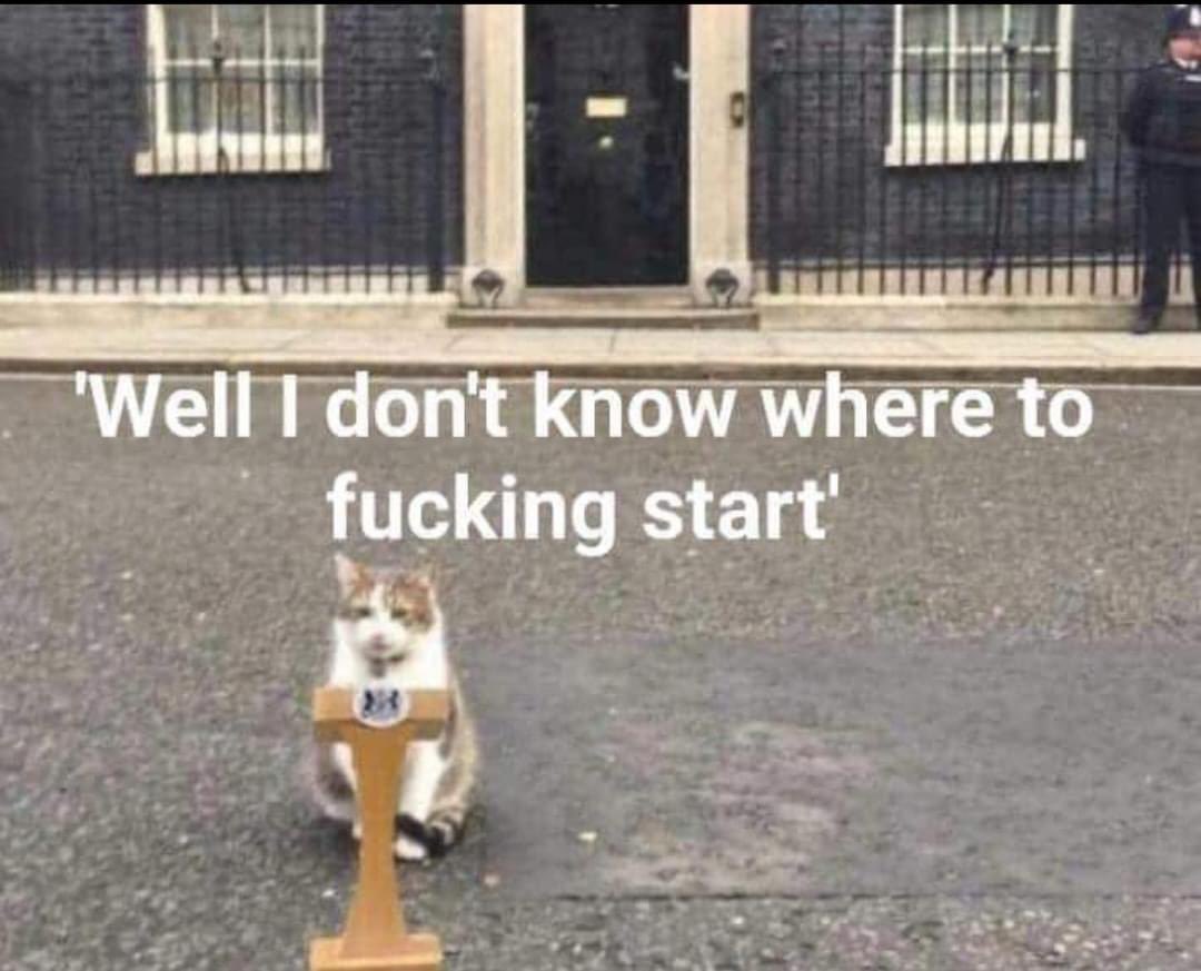 Nikki (@NikkiExcluded) / Posts / X