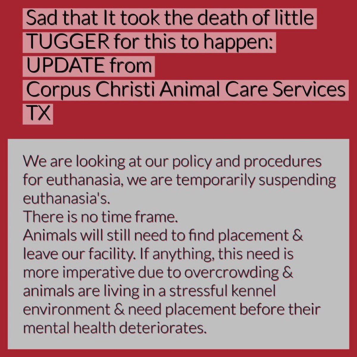 SamfromSpain's tweet photo. A small victory which took the erroneous killing of a family pet &amp; major protest to make it happen! CC Tx ACS issued the statement below today. Dogs scheduled TBK this week have a small reprieve, but still require urgent rescue due to lack of space. PLEASE do not forget them! https://t.co/ZTrBH6OpGx