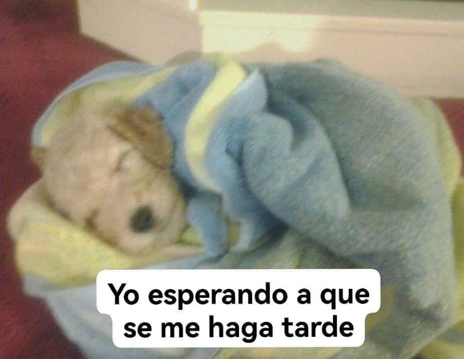 HistoriaPTontos's tweet photo. Mi meme más personal https://t.co/br3RORsaZm