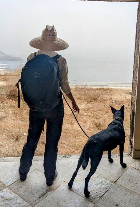 Adventure time with Chica https://t.co/puFXFzmdoI