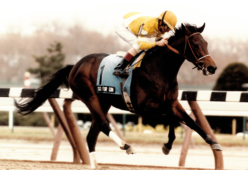 #ThrowbackThursday Go for Gin wins the 1993 Remsen Stakes at Aqueduct, Jerry Bailey up. Skip Dickstein Photo More Photos: Photos.BloodHorse.com