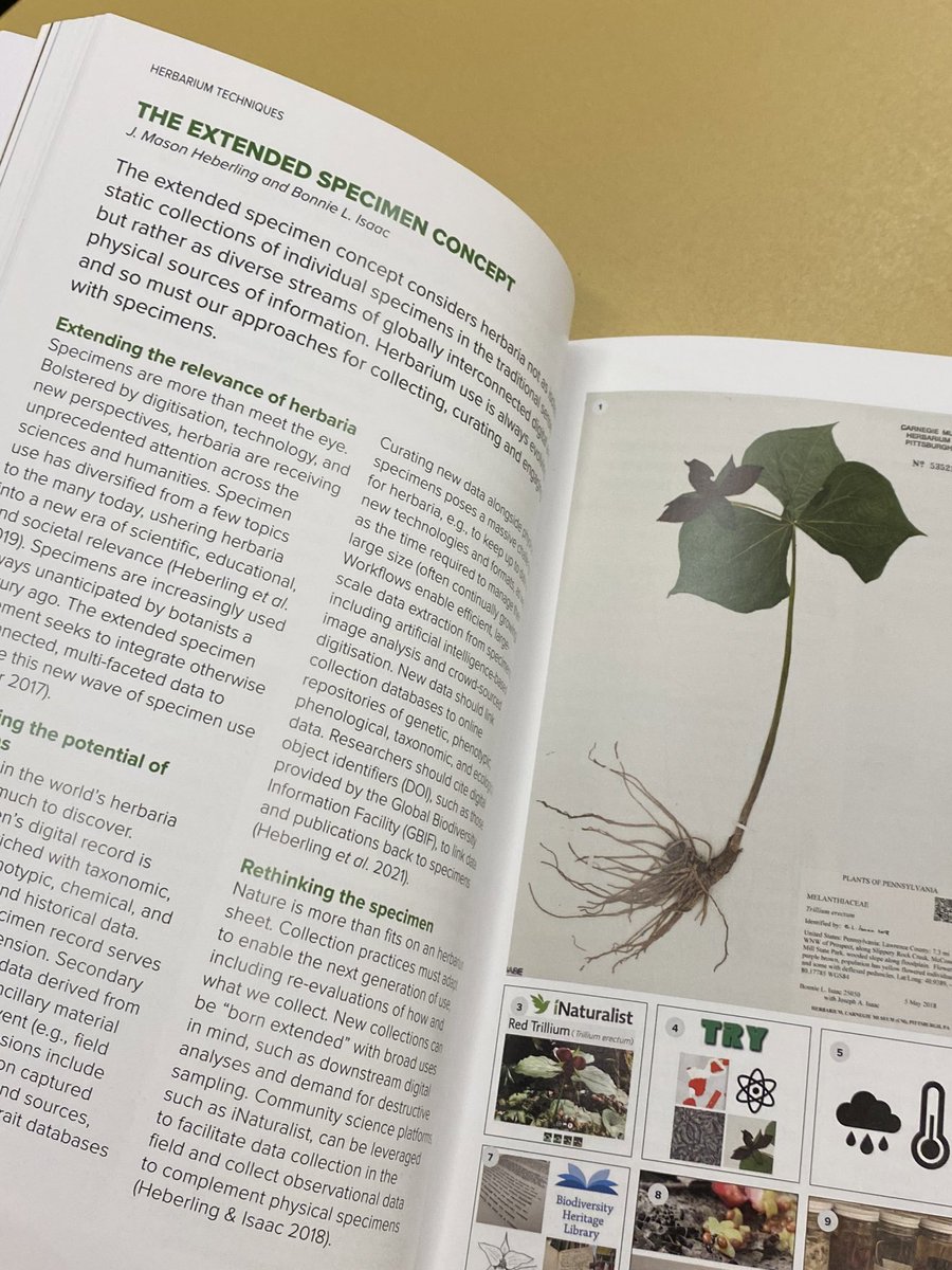 New Herbarium Handbook …now in hand at <a href="/CarnegieMNH/">Carnegie Museum of Natural History</a>! Honored to contribute on the extended specimen concept with my #herbarium hero <a href="/huntingbon/">Bonnie Isaac</a> (who studied herbarium techniques at Kew in 1988 using previous version!) @Nina_Davies7 <a href="/timutteridge/">Dr Timothy Utteridge</a> <a href="/claredrinkell/">Clare Drinkell</a> @KewScience