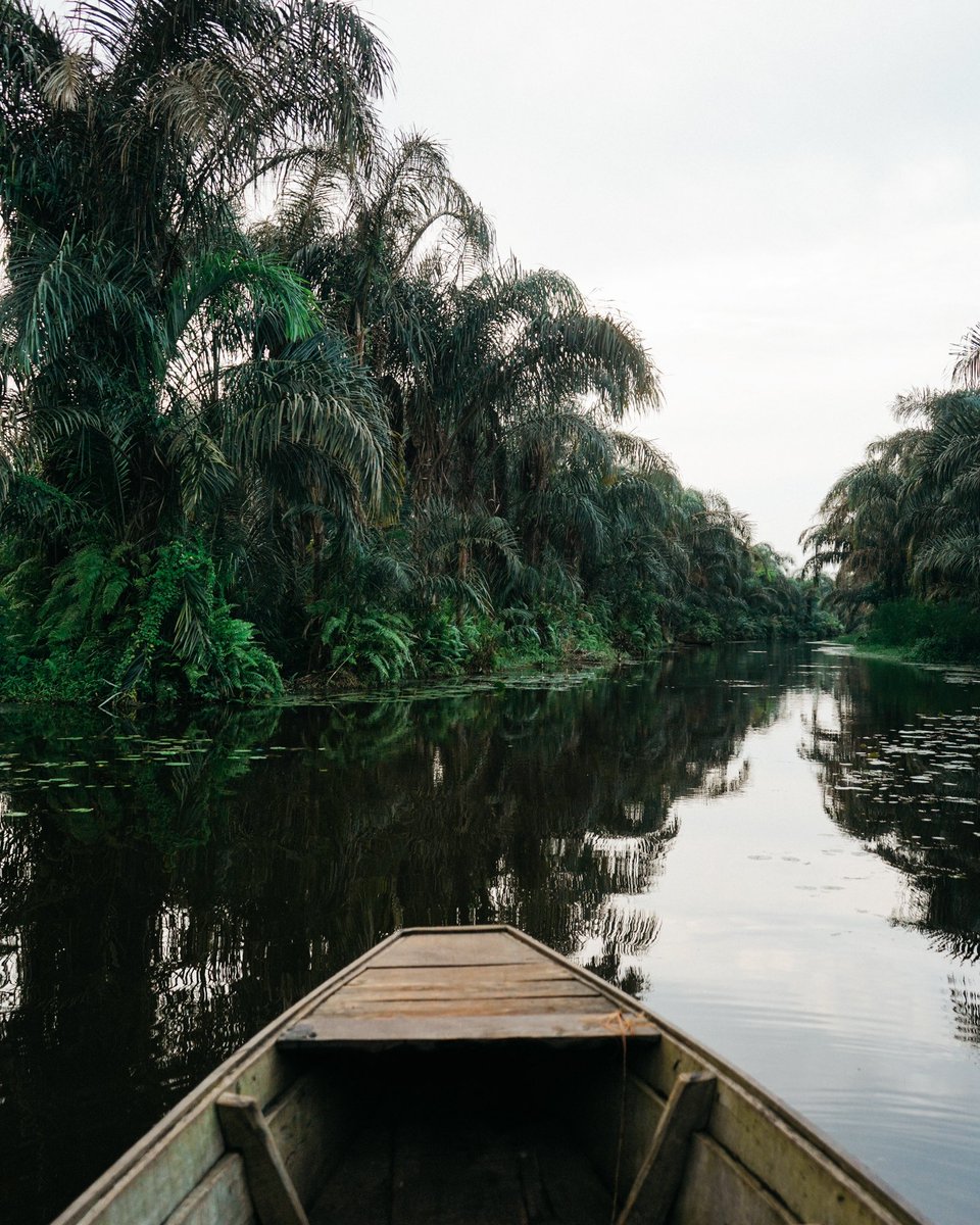 Nybeponzio's tweet photo. Adjarra, La Rivière Noire 🇧🇯 https://t.co/zABrbTCS5G