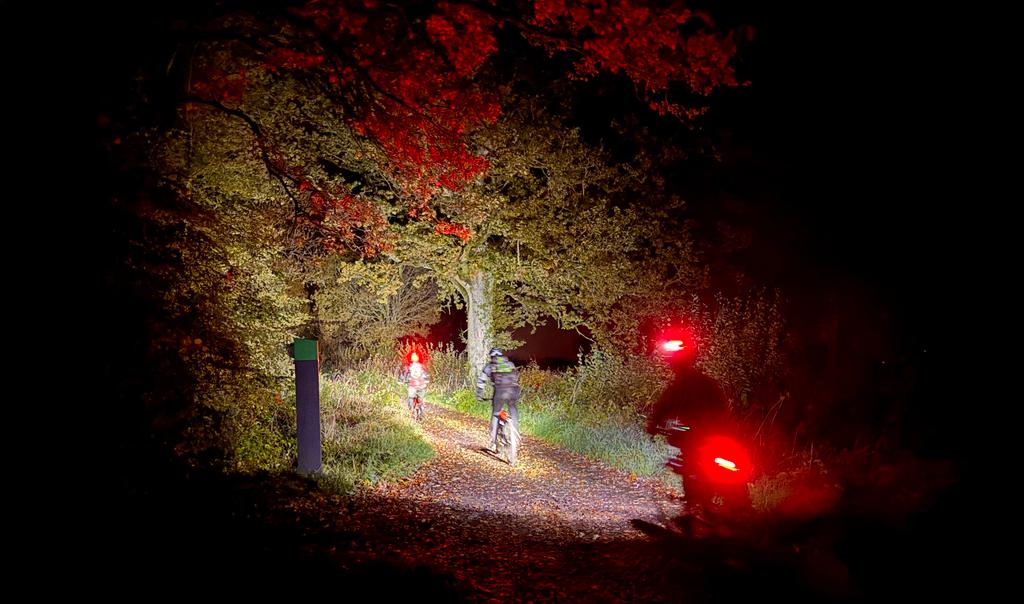 IlminsterSteve's tweet photo. @Absolutemtb1 #mtbchat #GetOutside #mtb If you go down to the woods today...... https://t.co/NdsuLnjPId