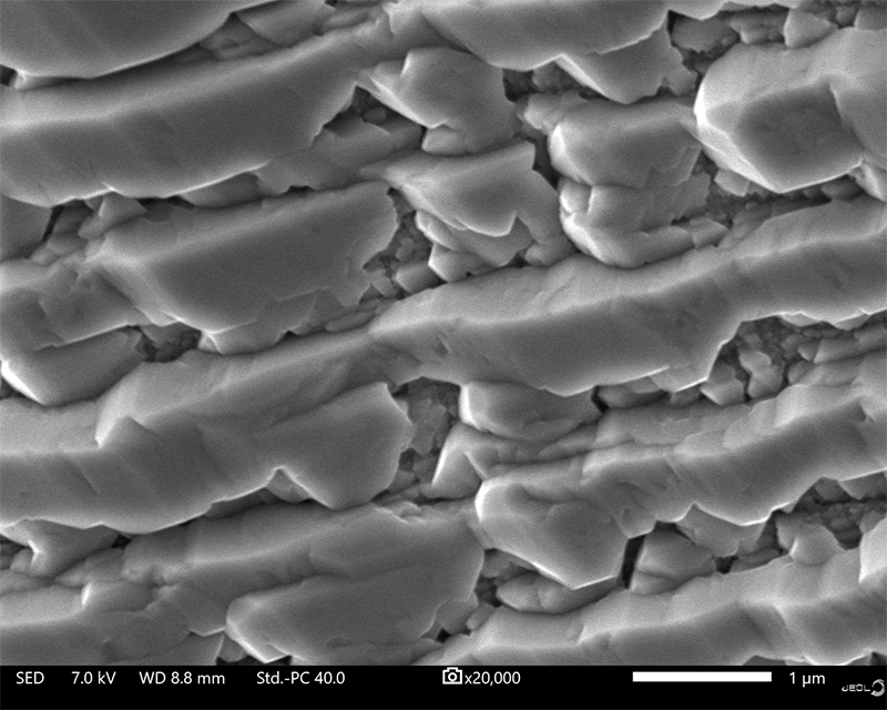 JEOLUSA's tweet image. We&apos;re showcasing our solutions for #FailureAnalysis this week at #ISTFA 2023 in Phoenix. Stop by and see us in booth 313 for our latest in sample prep, imaging, and analysis. Ask us about JEOL SEM, TEM, FIB-SEM and Cross Section Polisher capabilities. bit.ly/3QYriqf