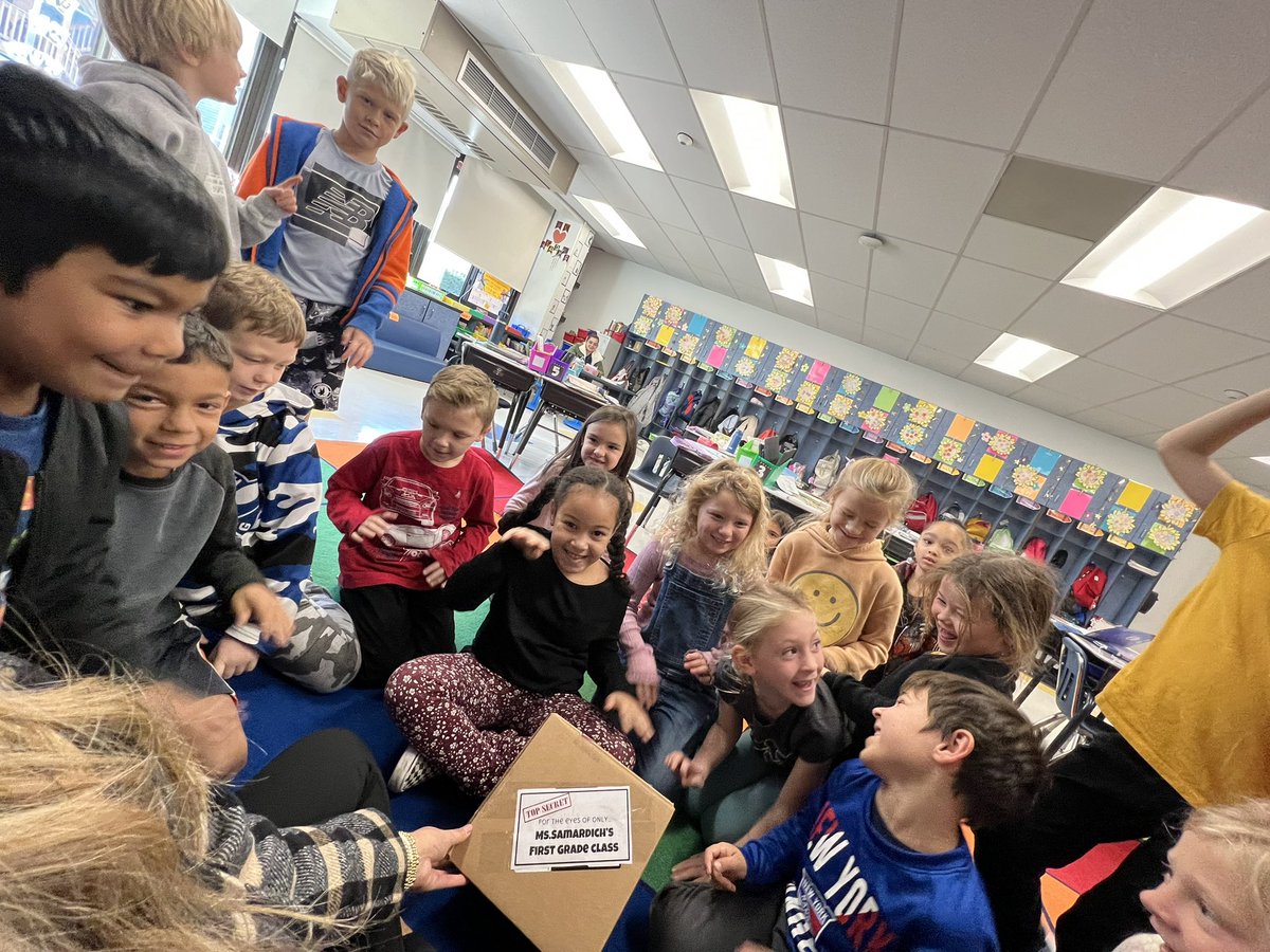 Nicolette Samardich tweet media