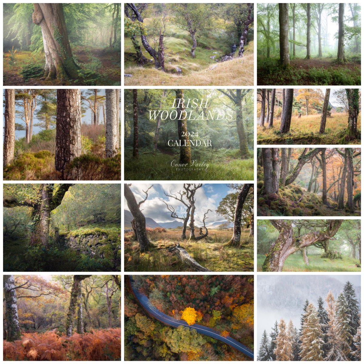 Conor Varley Photography (@conor_varley) on Twitter photo Hi folks
So I’ve just finished up an exciting project. I’m releasing an Irish woodlands 2024 calendar. Anyone who enjoys a walk in our native woods or just enjoys the mystical nature of woods in general might enjoy this. 20€ per item, just DM to order 😄🌳🎅🏼 #calendar #ireland Hi folks
So I’ve just finished up an exciting project. I’m releasing an Irish woodlands 2024 calendar. Anyone who enjoys a walk in our native woods or just enjoys the mystical nature of woods in general might enjoy this. 20€ per item, just DM to order 😄🌳🎅🏼 #calendar #ireland