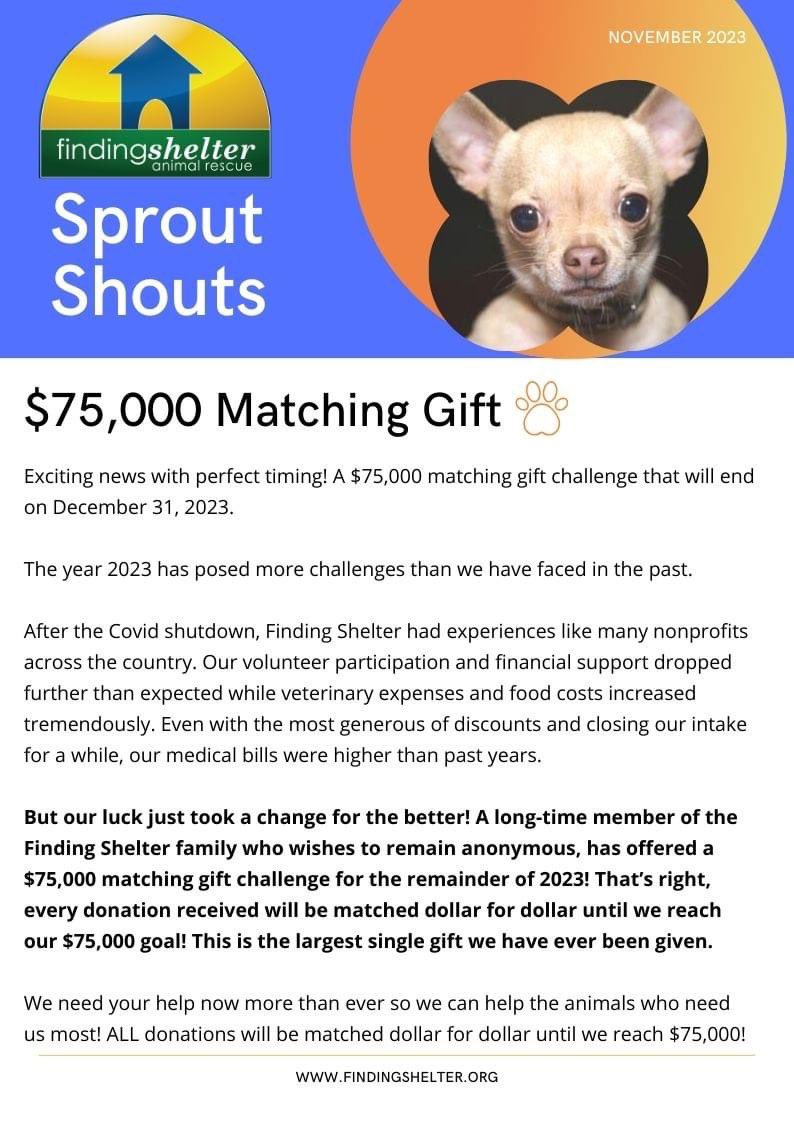 The Power of Finding Shelter Animal Rescue 🐾 mailchi.mp/1161d34fe3aa/o… #matchinggiftchallenge #rescue #dogs #donate #puppymillsurvivor #victoriaslaw