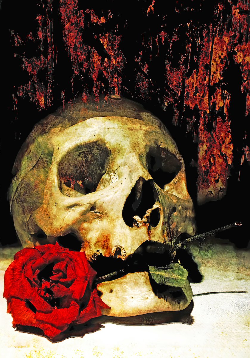 missingaliens's tweet image. 