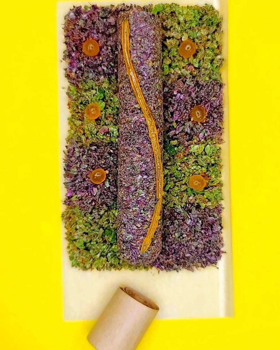 _StonersRUs_'s tweet photo. Wyd after smoking this? 🤯🔥💨

#StonerFam #Mmemberville https://t.co/yBJVbWgwSe
