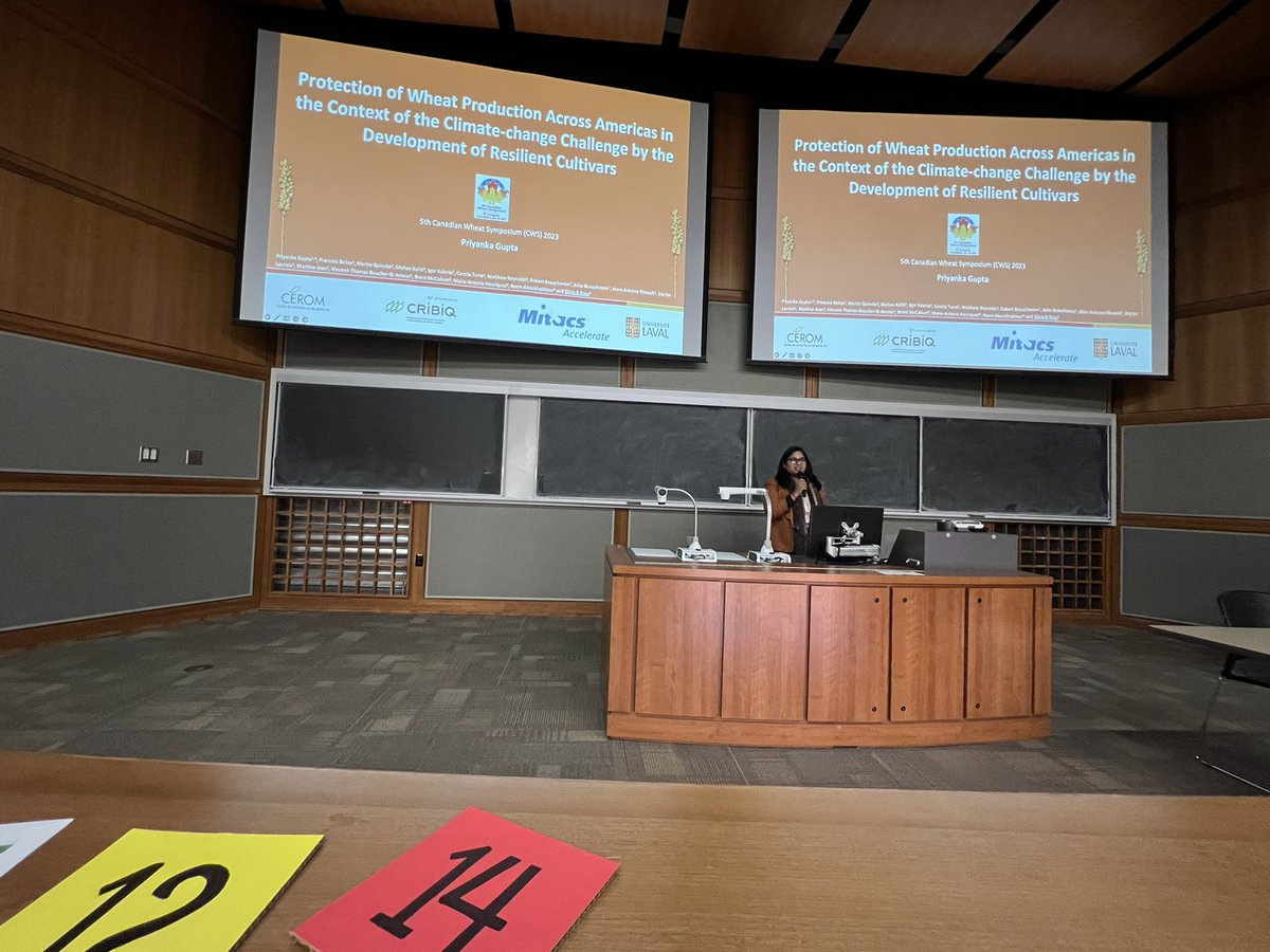 CWS2023's tweet image. Last speaker for Abiotic Stresses session is @VidhiPriyanka from @LavalUniversity talking about wheat production as it relates to climate-change #CWS2023