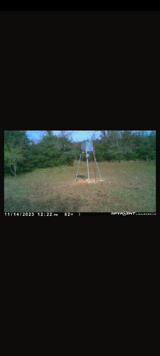1DeplHonkey's tweet image. Things sure slowed down quick here in Central Texas 😔. #Hunting #Spypoint