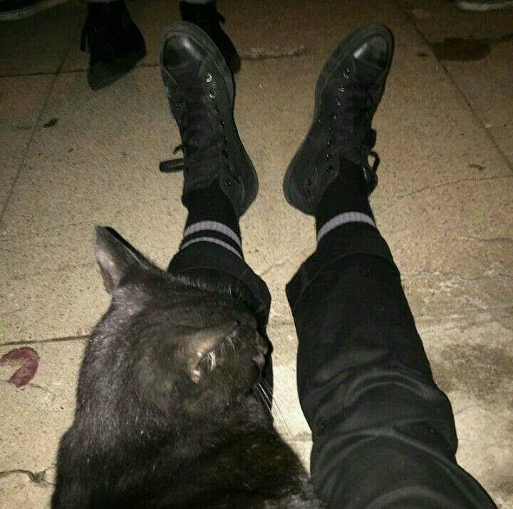 regulosito's tweet photo. how I perceive starkiller — a thread . ·°☆. https://t.co/jyLfP4iJ1f