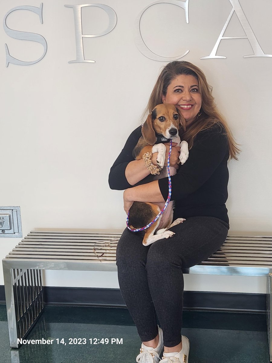 Placer SPCA tweet media