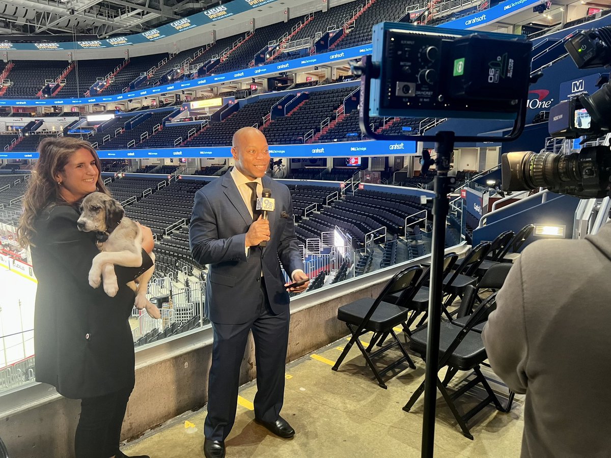 .@Capitals SVP of marketing joins @WUSA9sports @DesmondPurnell of @wusa9 ahead of Caps Canines Night presented by @PedigreeFound. She’s joined by Burger Shop, available for adoption via @WTARescue.