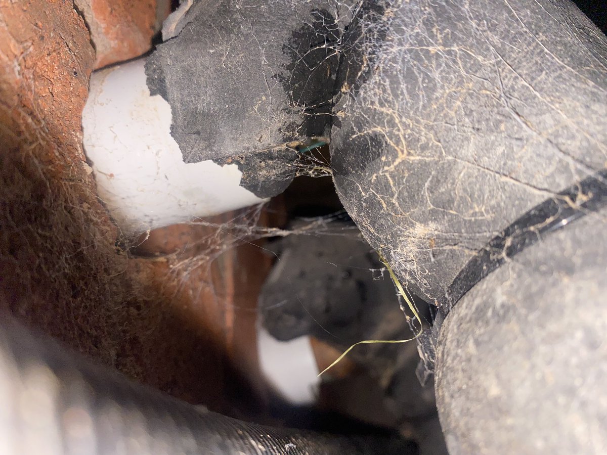 luca brojban  tweet media