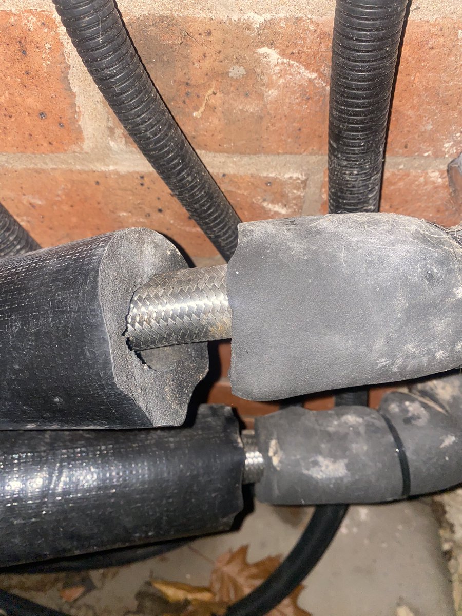 luca brojban  tweet media