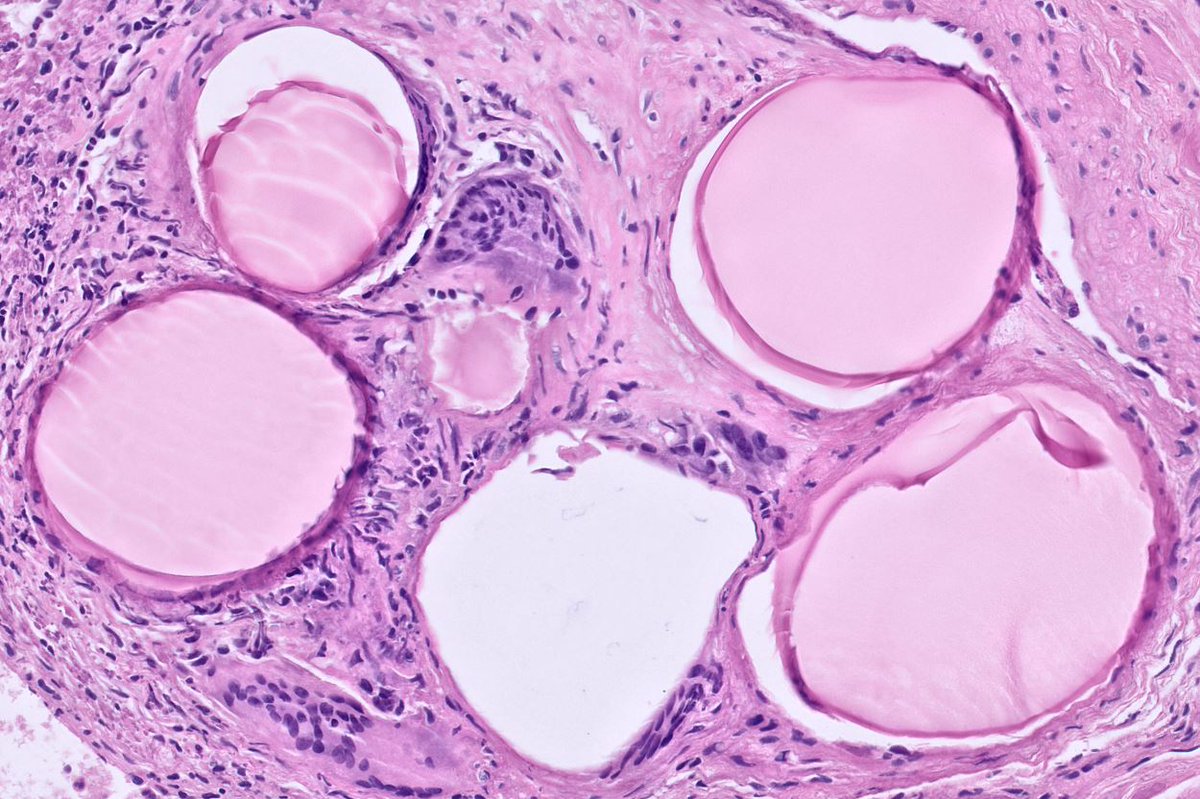 Laurence Galea tweet media