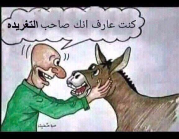 greattishreen's tweet photo. @ah19med71 😂 https://t.co/KsxUpujddB